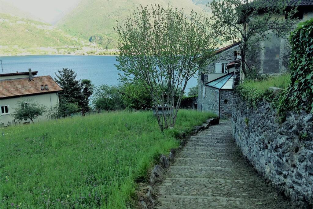 Appartamento Il Girasole Cremia Lago Di Como Dış mekan fotoğraf